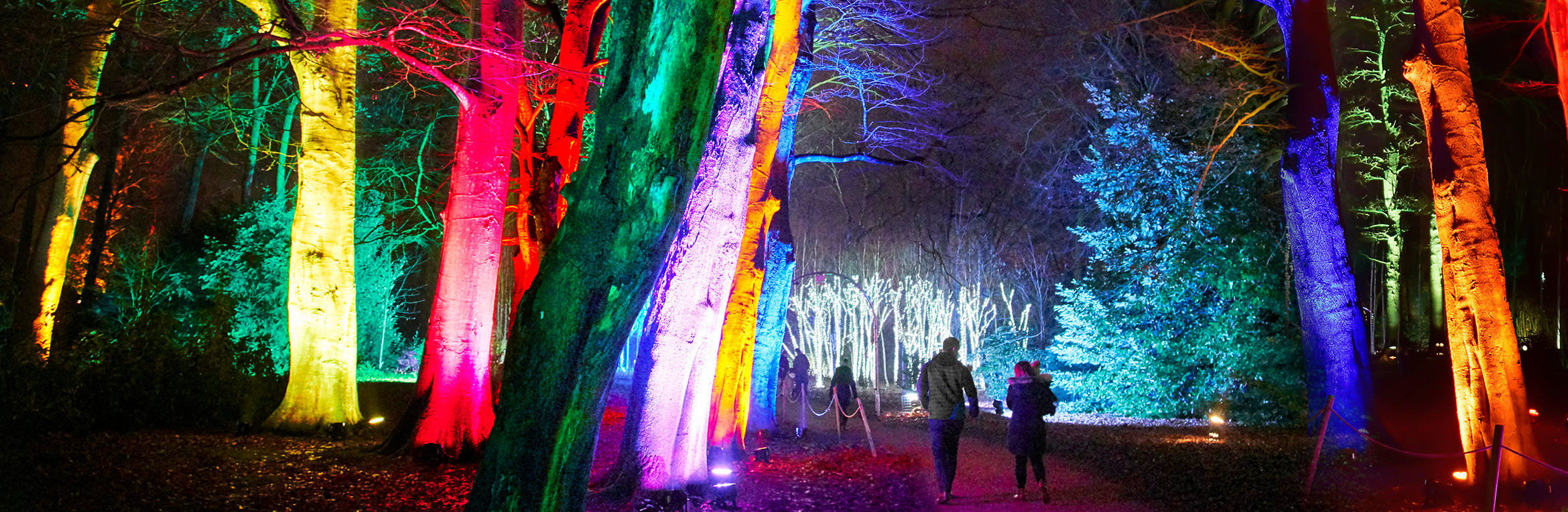 Christmas at Westonbirt 