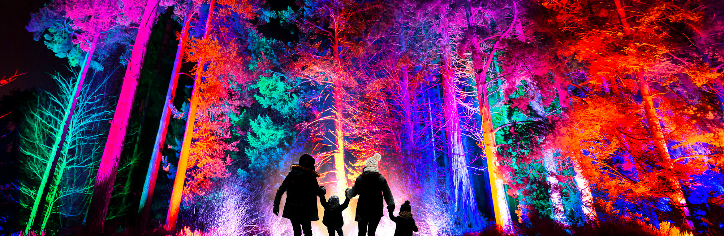 Christmas at Bedgebury