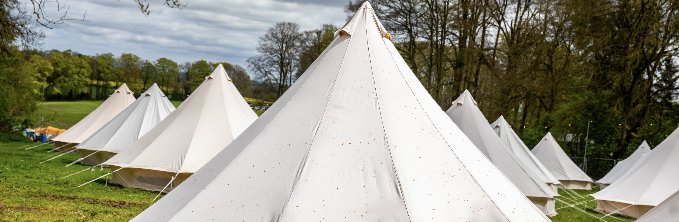 Glamping Upgrade - Teddy Rocks 2026 