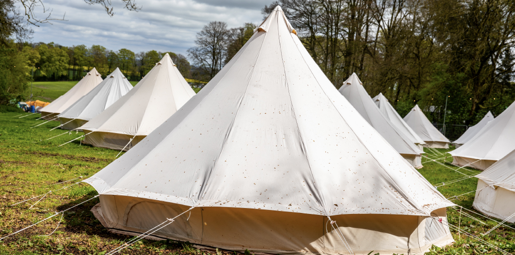 Glamping Upgrade - Teddy Rocks 2026 