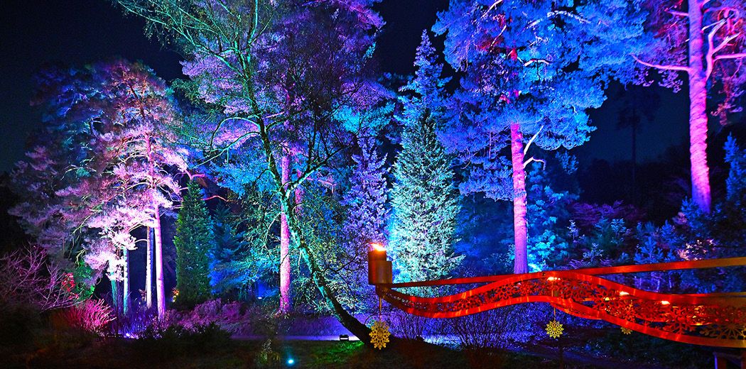 Christmas at Bedgebury