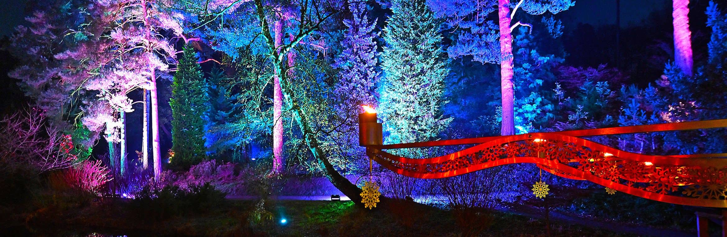 Christmas at Bedgebury