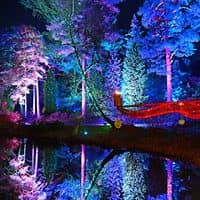 Christmas at Bedgebury