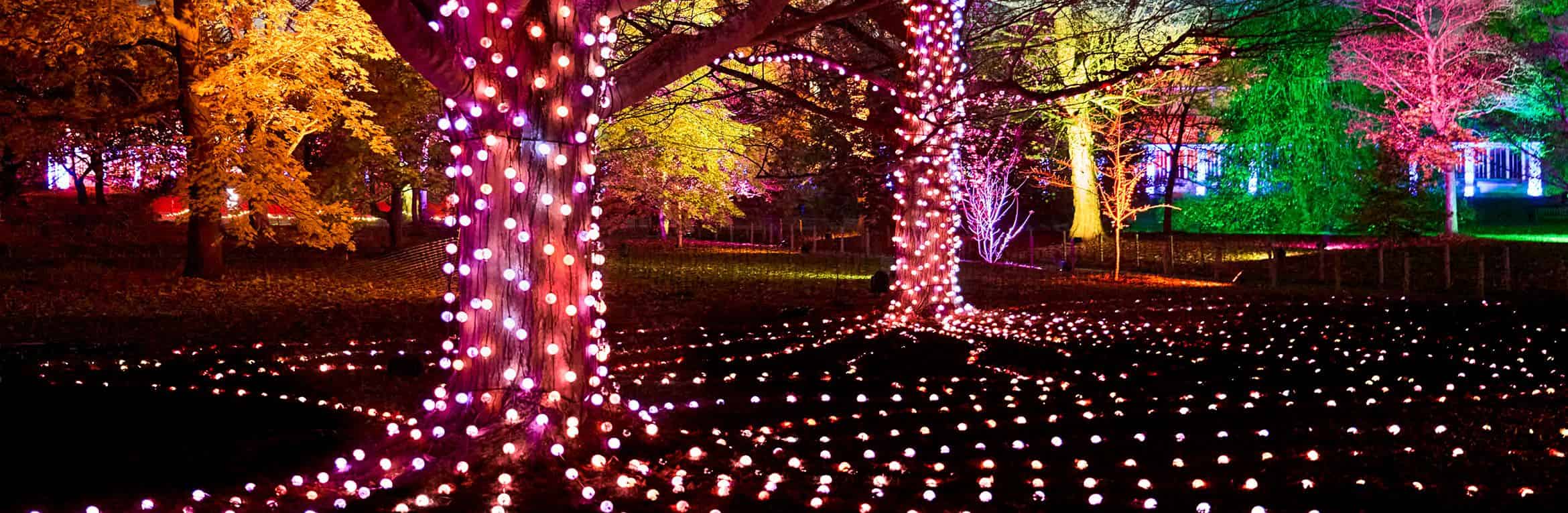 Christmas at Westonbirt 