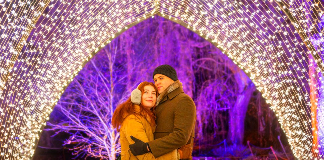 Christmas at the Botanics