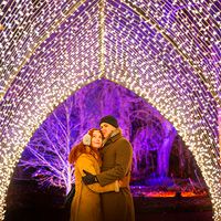 Christmas at Botanics - West Gate - Trail Tickets