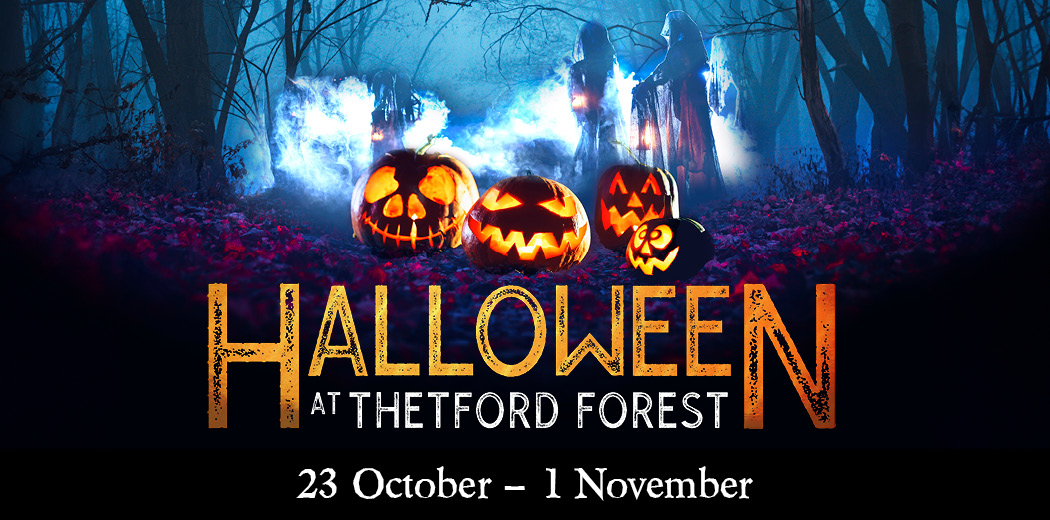 Halloween at Thetford Forest 