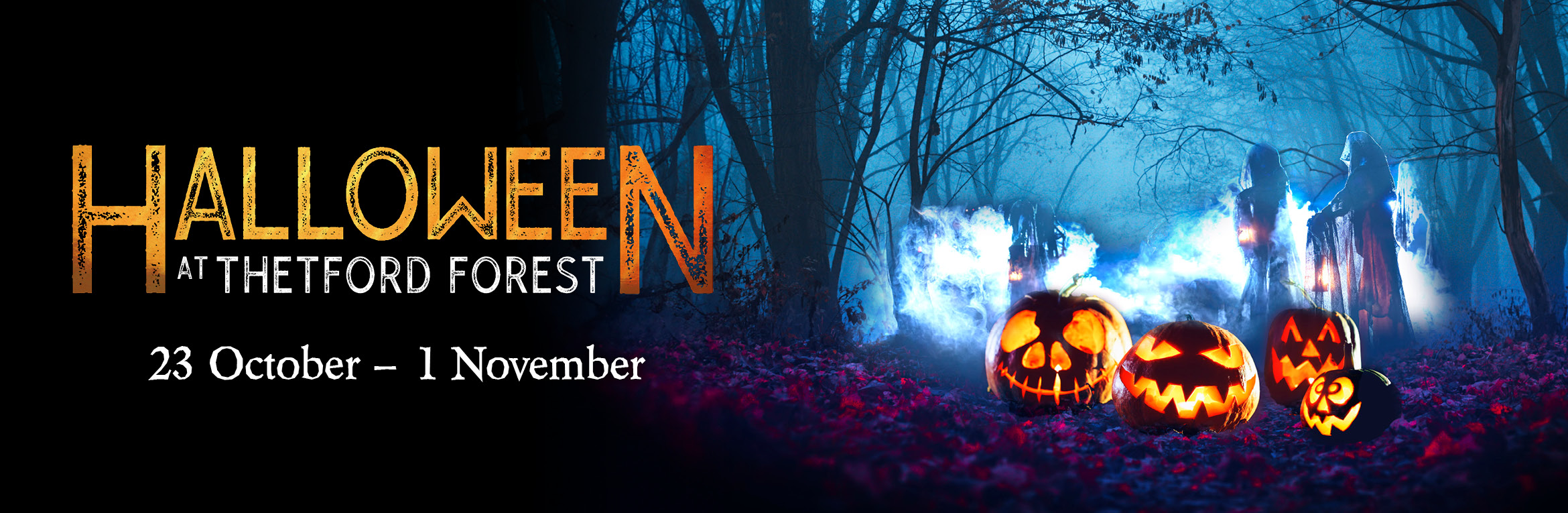 Halloween at Thetford Forest 