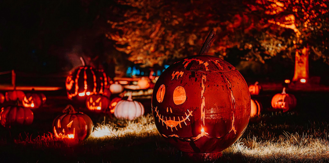 Halloween at Kenwood - Group Bookings