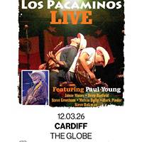 Los Pacaminos ft Paul Young