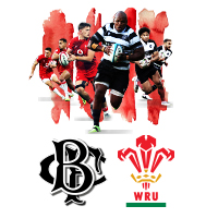 Barbarians v Wales (Men's & Women's)