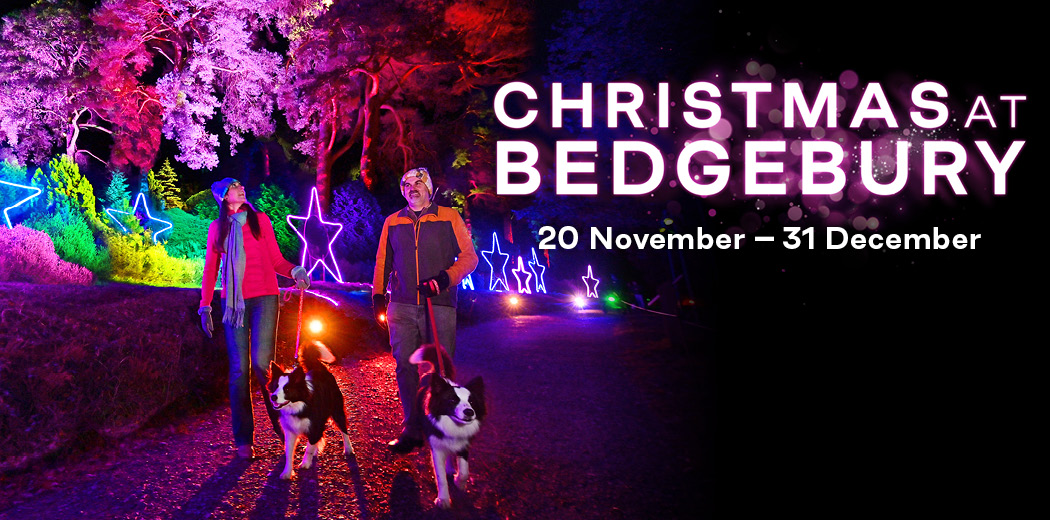 Christmas at Bedgebury