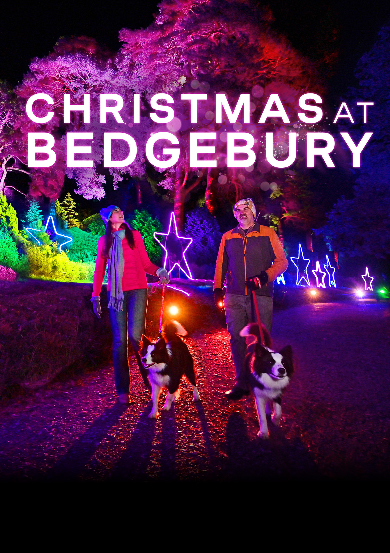 Christmas at Bedgebury