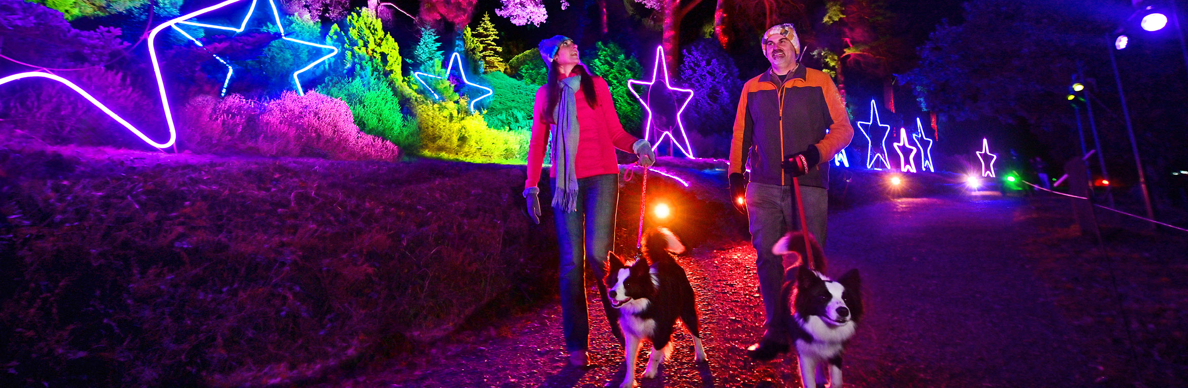 Christmas at Bedgebury