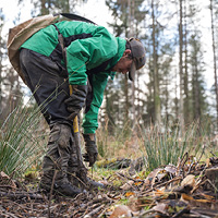 Bedgebury Illuminated Trail - Plant a Tree
