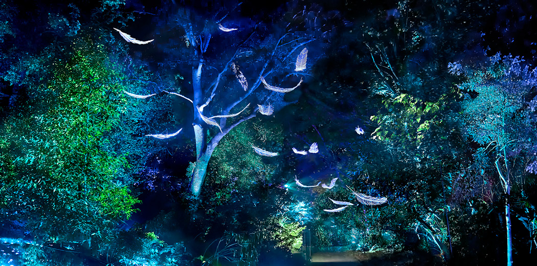 Christmas at Belton - FAQs