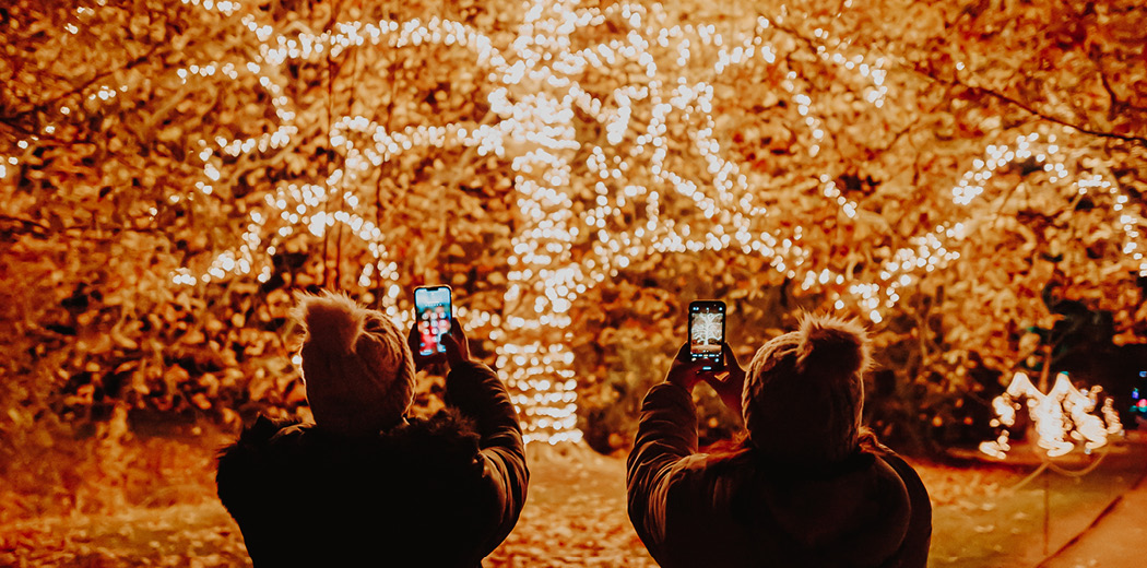 Christmas at Wimpole - Trail Tickets