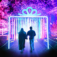 Christmas at Westonbirt - Trail Tickets