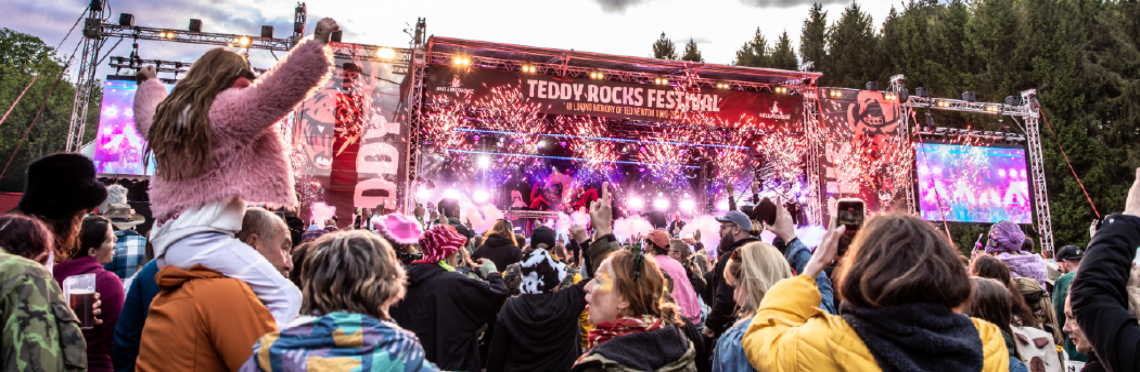 Sunday Day - Teddy Rocks