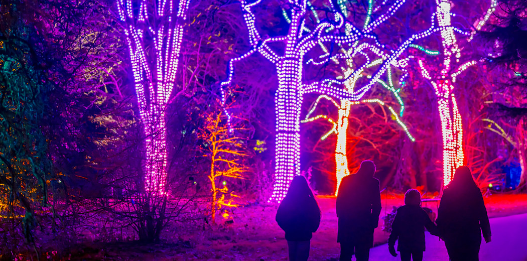 Christmas at the Botanics - Relaxed Sessions