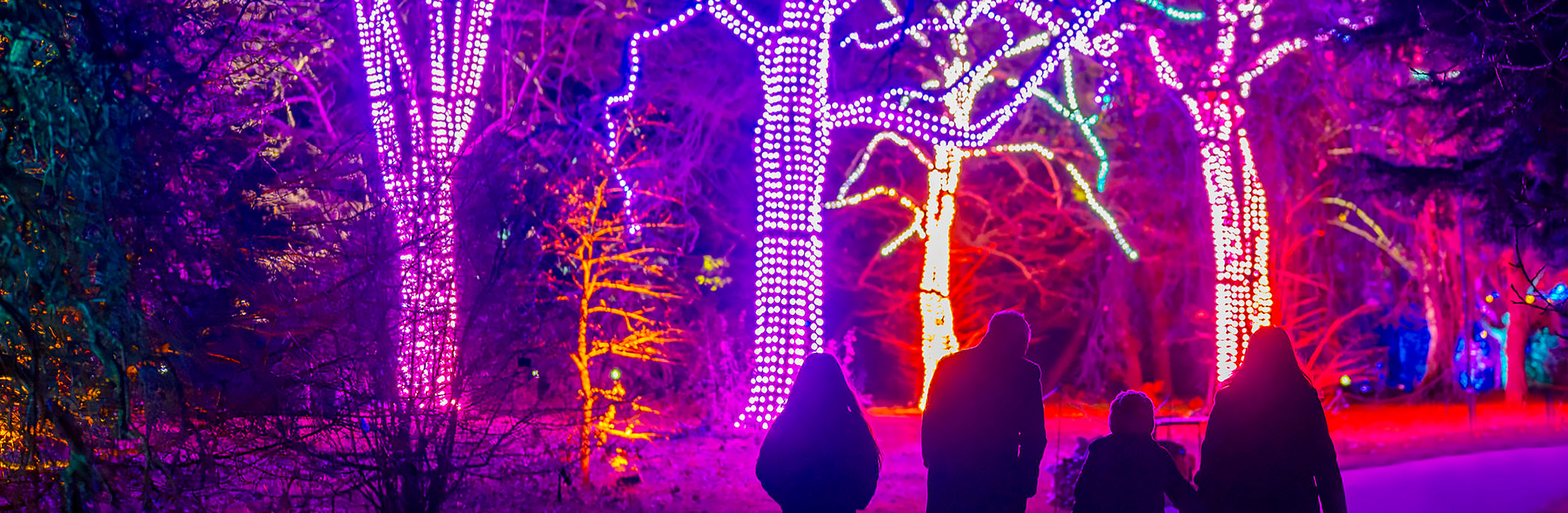 Christmas at the Botanics - Relaxed Sessions