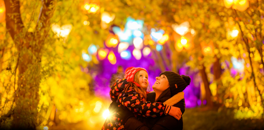 Christmas at Botanics -  Anytime Trail Tickets