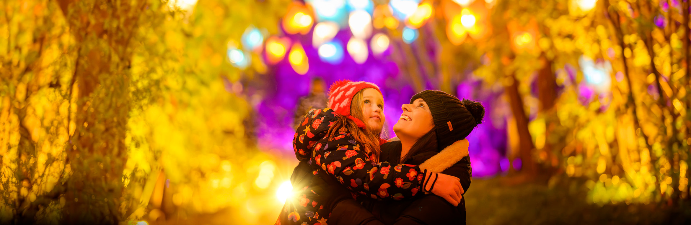 Christmas at Botanics