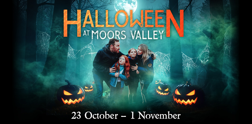 Halloween at Moors Valley