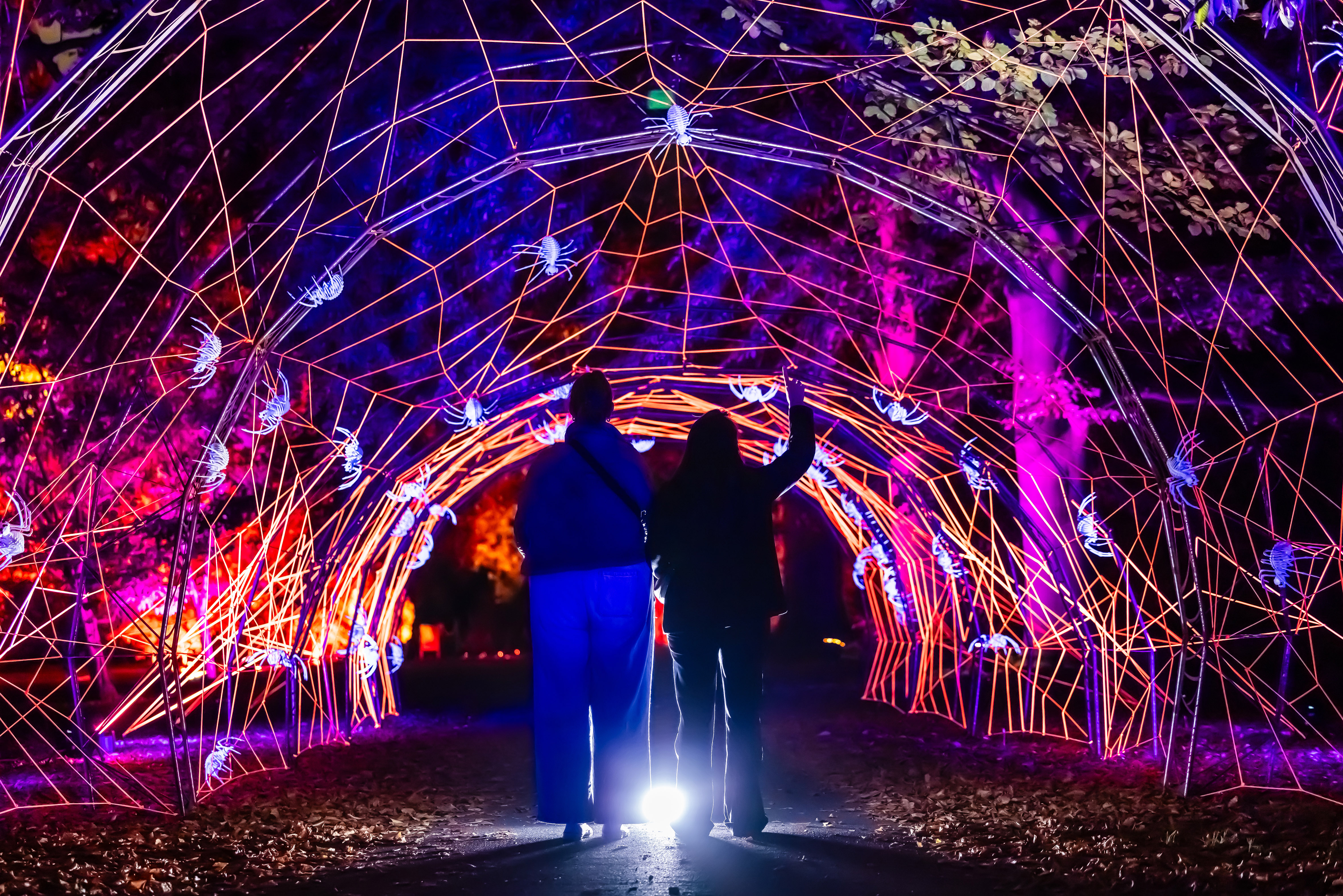 Halloween at Moors Valley - Trail Tickets
