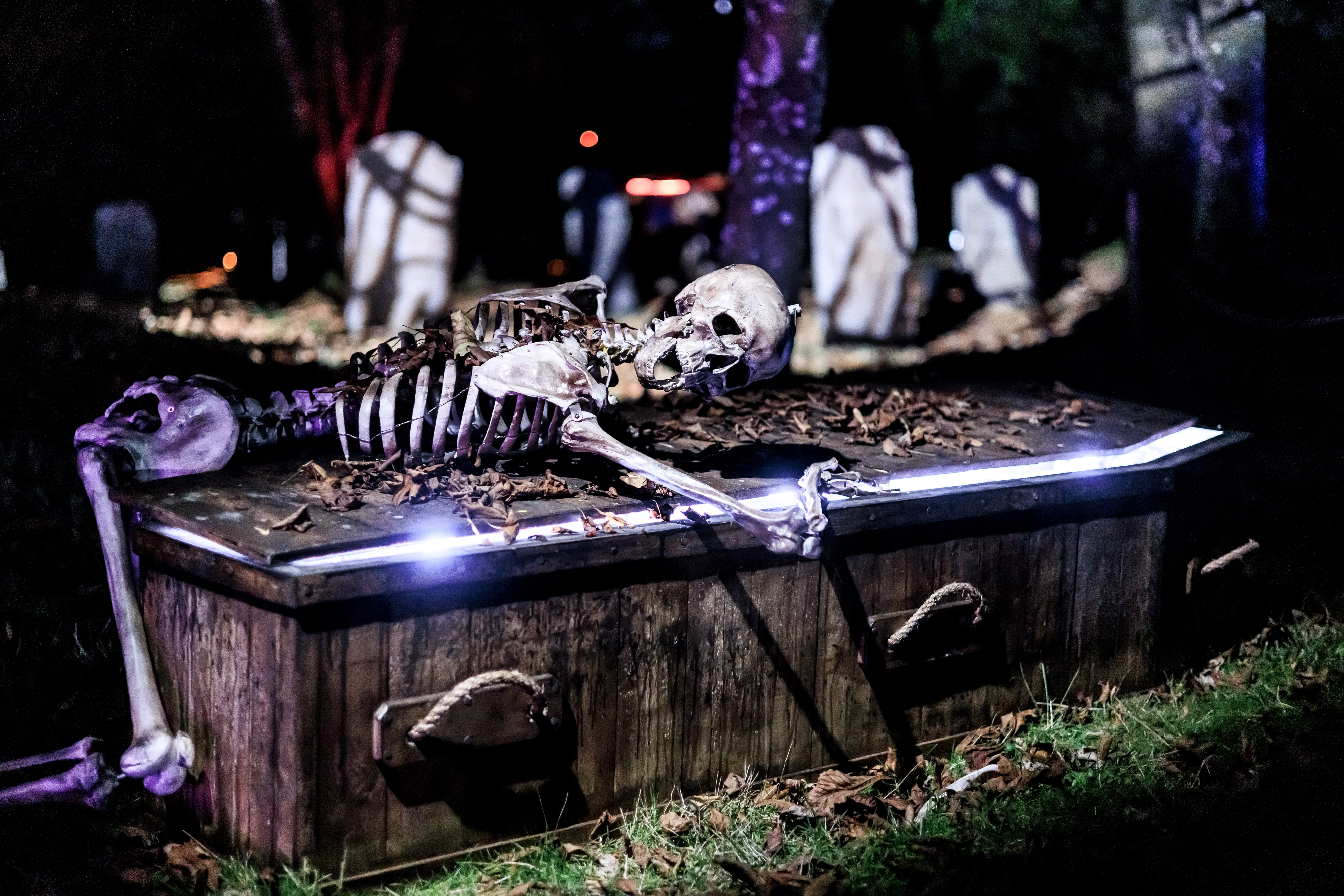 Halloween at Moors Valley - Trail Tickets