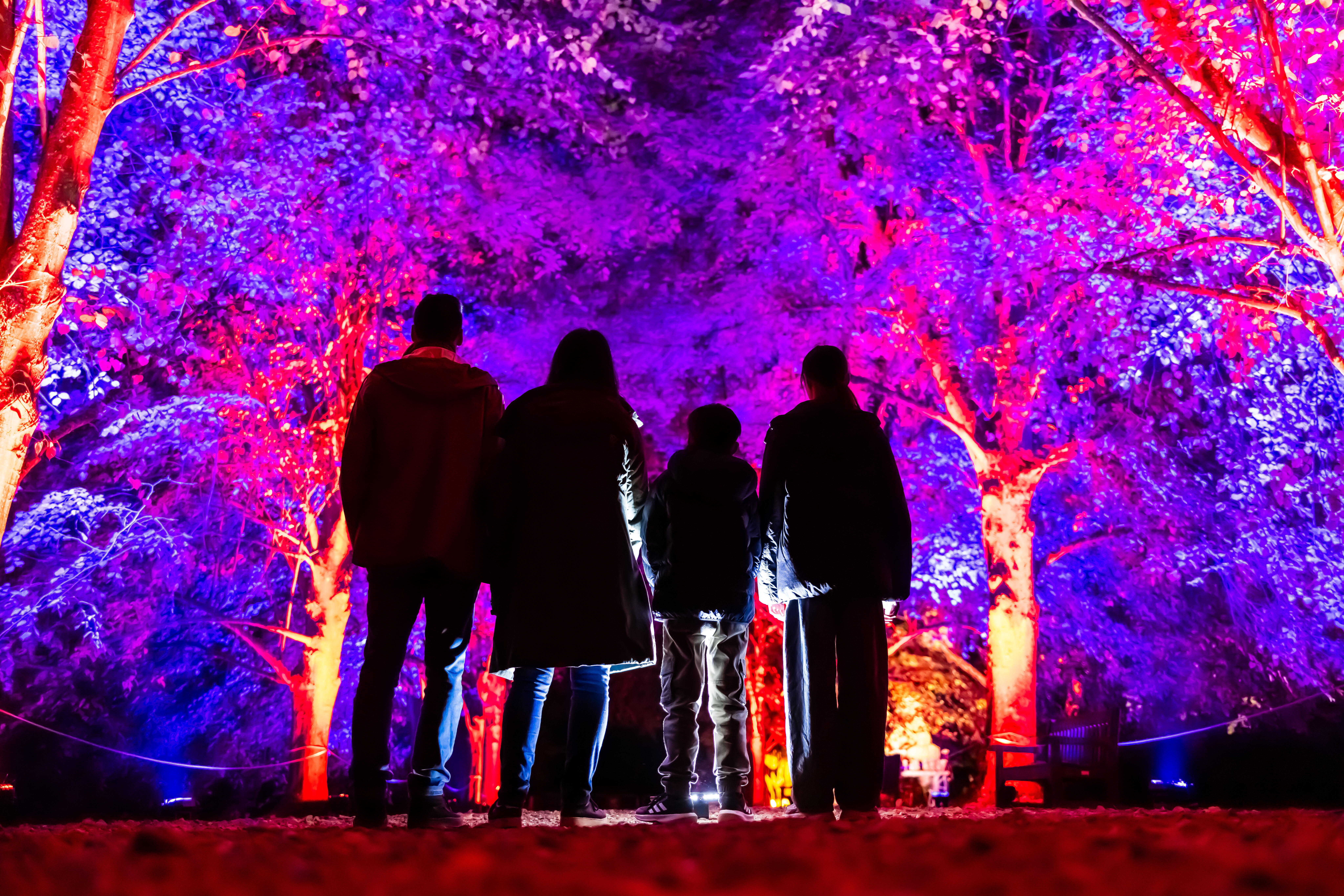 Halloween at Moors Valley - Group Bookings