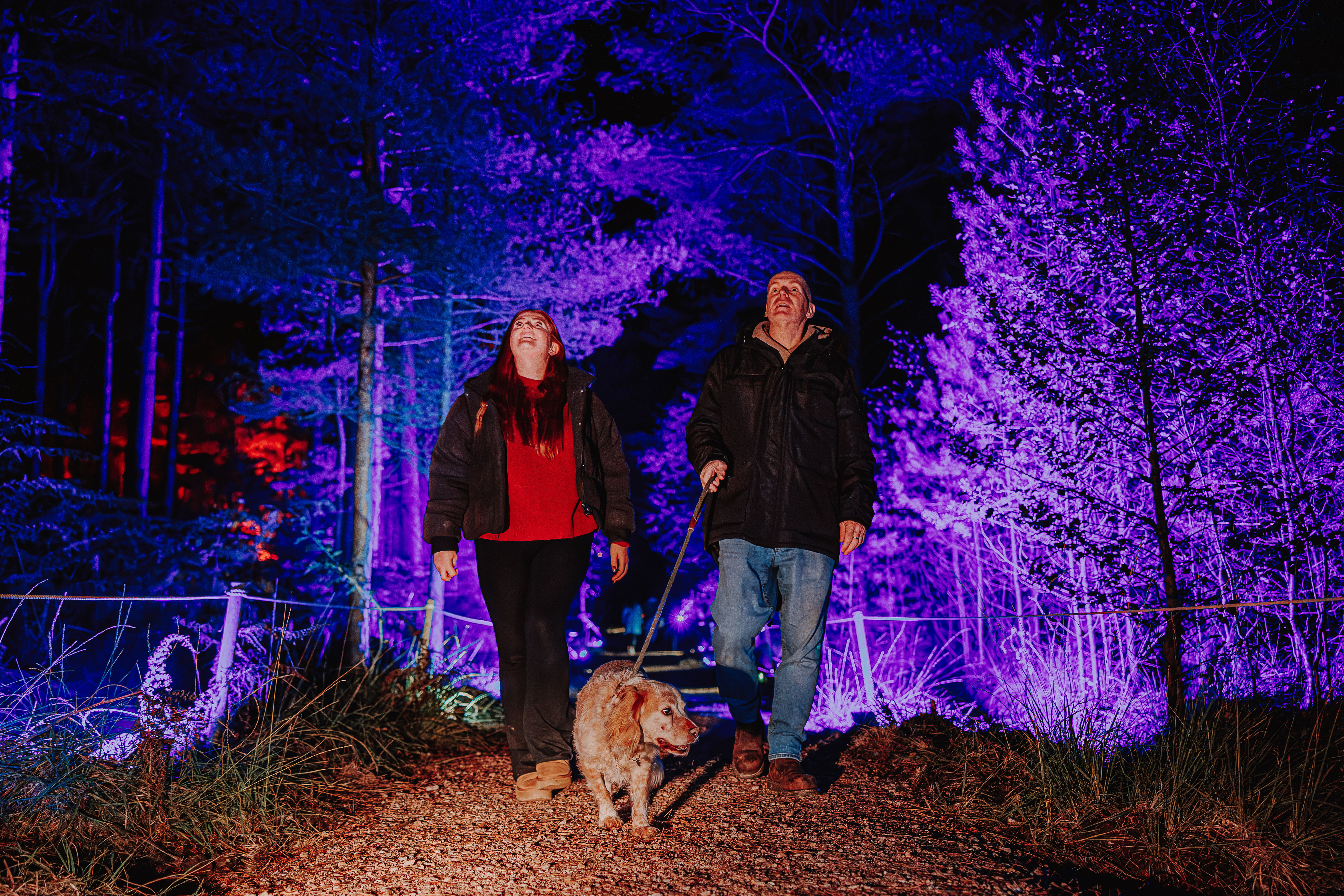 Halloween at Moors Valley - Trail Tickets