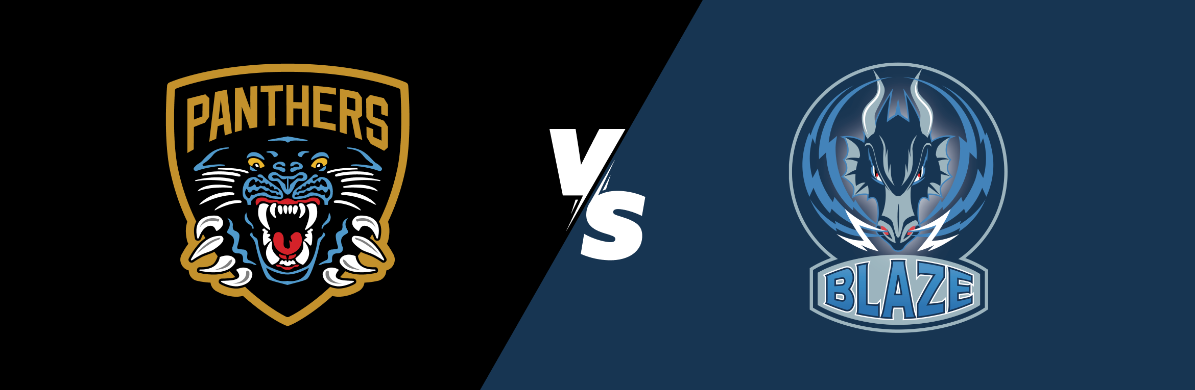 Nottingham Panthers Vs Coventry Blaze