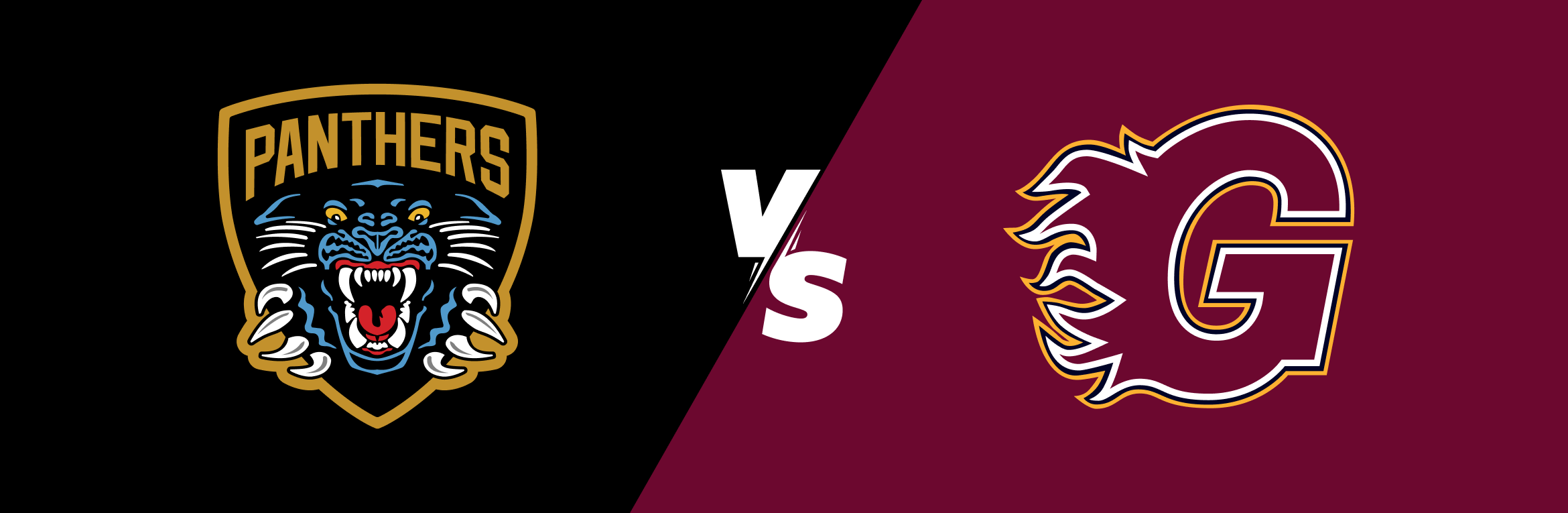 Nottingham Panthers Vs Guildford Flames