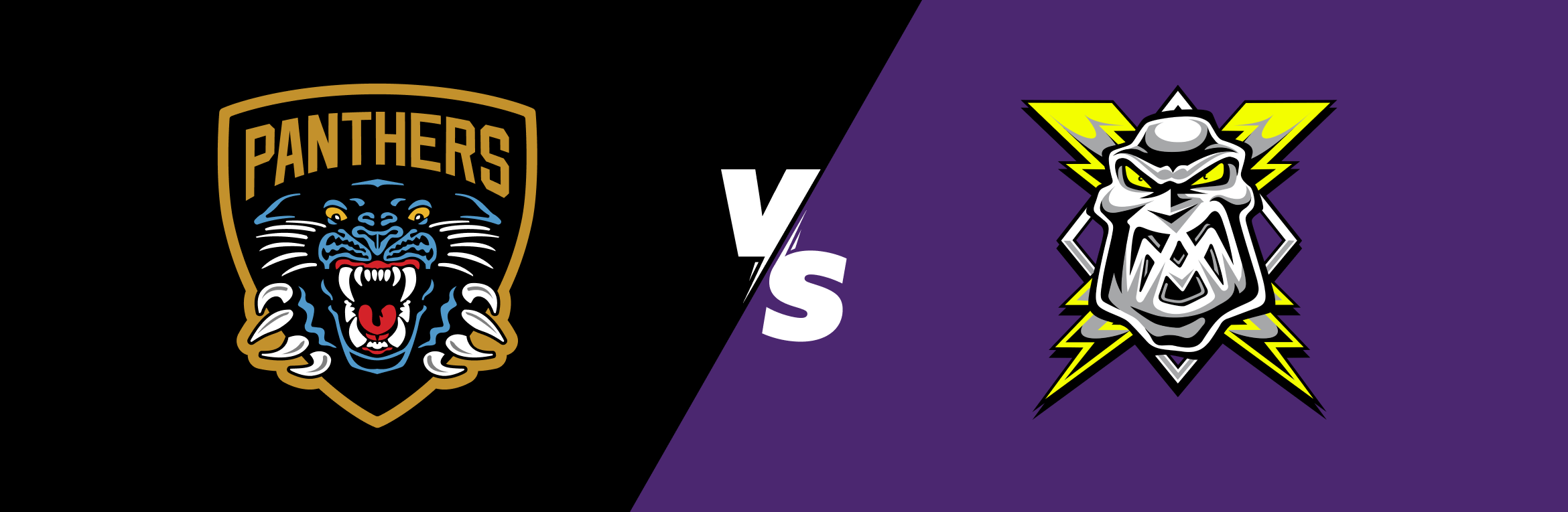 Nottingham Panthers Vs Manchester Storm