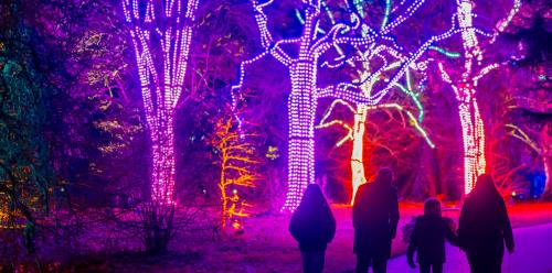 Christmas at the Botanics